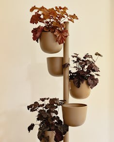 Story Planter in Sesame