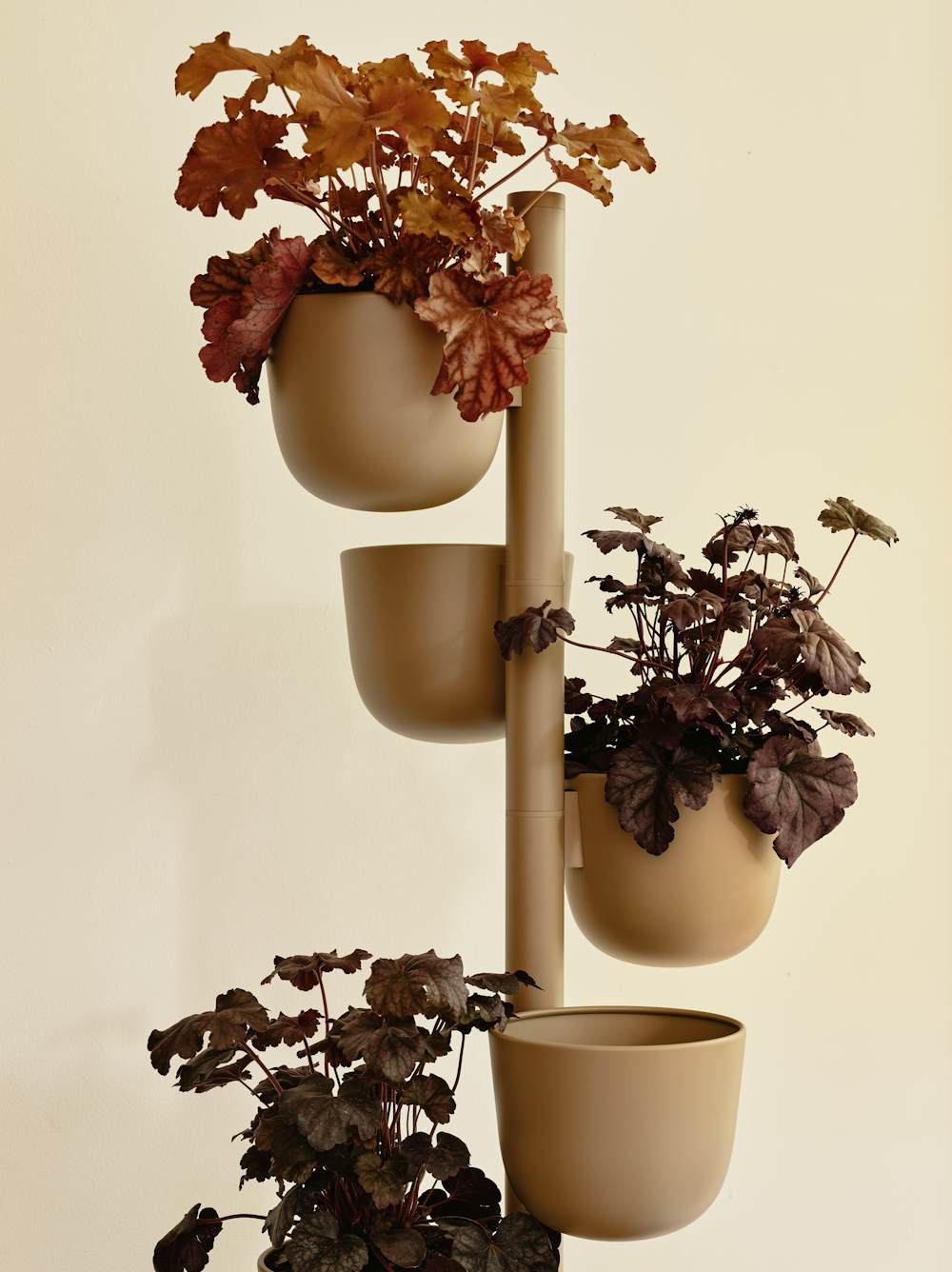 Story Planter in Sesame